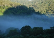 Clouds of Bornhoffen